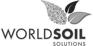 WORLD SOIL SOLUTIONS