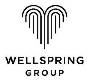 WELLSPRING GROUP