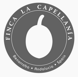 FINCA LA CAPELLANIA BENARRABA ANDALUCIASPAIN