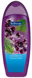 SOFTSOAP ACAI BERRY & TROPICAL WATER