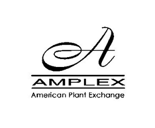 A AMPLEX AMERICAN PLANT EXCHANGE