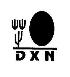 DXN