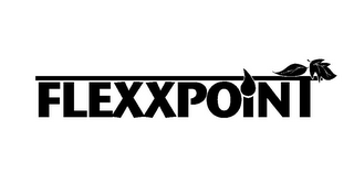 FLEXXPOINT