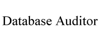 DATABASE AUDITOR