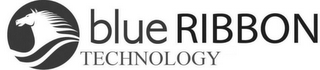 BLUE RIBBON TECHNOLOGY