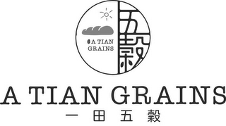 A TIAN GRAINS