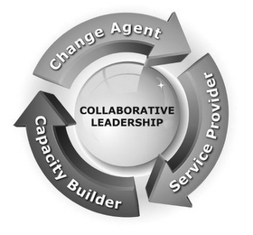 CHANGE AGENT CAPAPCITY BUILDER SERVICE PROVIDER COLLOBORATIVE LEADERSHIP