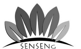 SENSENG