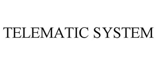 TELEMATIC SYSTEM