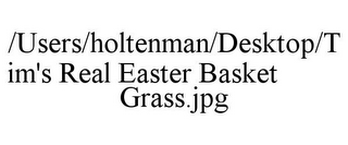 /USERS/HOLTENMAN/DESKTOP/TIM'S REAL EASTER BASKET GRASS.JPG