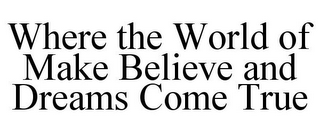 WHERE THE WORLD OF MAKE BELIEVE AND DREAMS COME TRUE