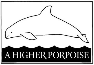 A HIGHER PORPOISE