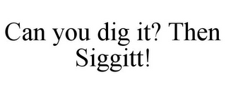 CAN YOU DIG IT? THEN SIGGITT!