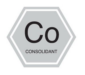 CO CONSOLIDANT