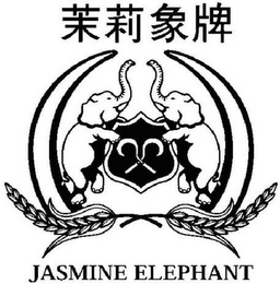 JASMINE ELEPHANT