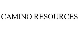 CAMINO RESOURCES