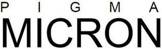 P I G M A MICRON