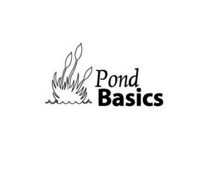 POND BASICS