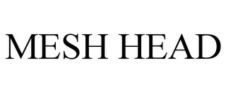 MESH HEAD
