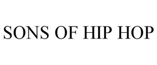 SONS OF HIP HOP