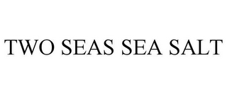 TWO SEAS SEA SALT