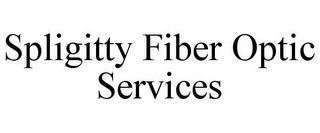 SPLIGITTY FIBER OPTIC SERVICES