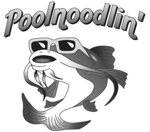 POOLNOODLIN'