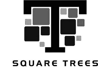 T SQUARE TREES