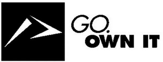 GO. OWN IT