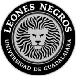 LEONES NEGROS UNIVERSIDAD DE GUADALAJARA