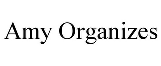 AMY ORGANIZES