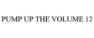 PUMP UP THE VOLUME 12