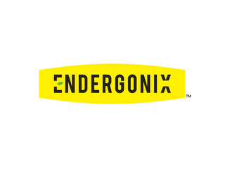 ENDERGONIX