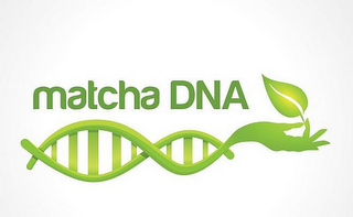 MATCHA DNA