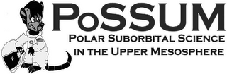 POSSUM POLAR SUBORBITAL SCIENCE IN THE UPPER MESOSPHERE