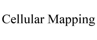 CELLULAR MAPPING