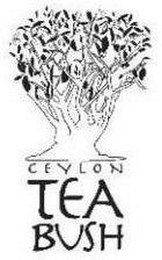 CEYLON TEA BUSH