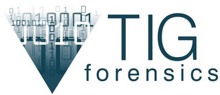 TIG FORENSICS DIGITAL INVESTIGATIONS & SECURITY