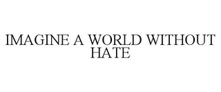 IMAGINE A WORLD WITHOUT HATE