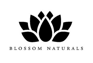 BLOSSOM NATURALS