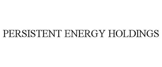 PERSISTENT ENERGY HOLDINGS