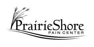 PRAIRIESHORE PAIN CENTER