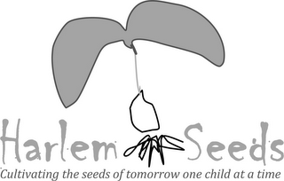 HARLEM SEEDS CULTIVATING THE SEEDS OF TOMORROW ONE CHILD AT A TIME