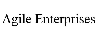 AGILE ENTERPRISES