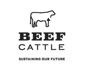 BEEF CATTLE SUSTAINING OUR FUTURE