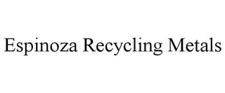 ESPINOZA RECYCLING METALS