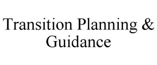 TRANSITION PLANNING & GUIDANCE