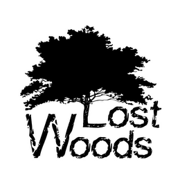 LOST WOODS