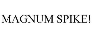 MAGNUM SPIKE!
