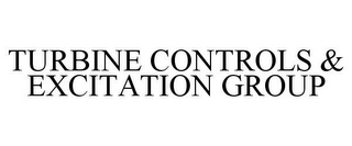 TURBINE CONTROLS & EXCITATION GROUP